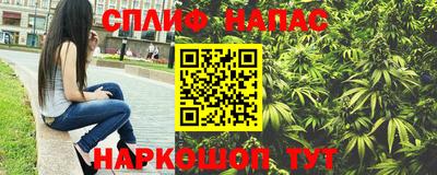 apvp Камышлов