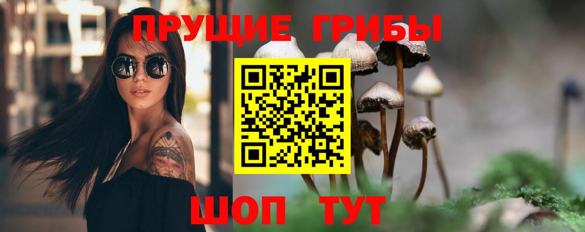 Галлюциногенные грибы прущие грибы Корсаков