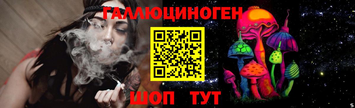 Корсаков  Галлюциногенные грибы GOLDEN TEACHER  Вход с VPN  Псилоцибиновые грибы MAGIC MUSHROOMS 